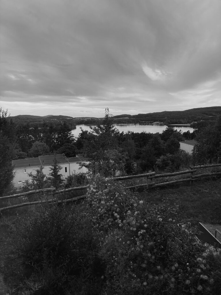 IMG 3367 1