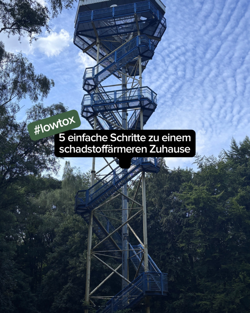 Minimalistische Küche mit nachhaltigen Alltagsprodukten für einen schadstoffärmeren Alltag.